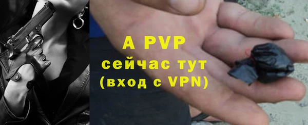 мяу мяу мука Абаза