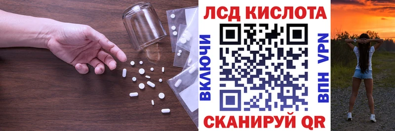 наркота  Курчатов  LSD-25 экстази ecstasy 
